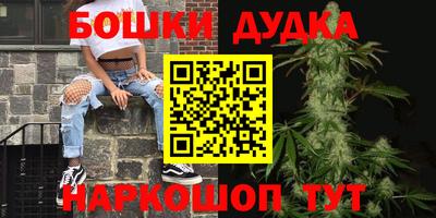 индика Донской