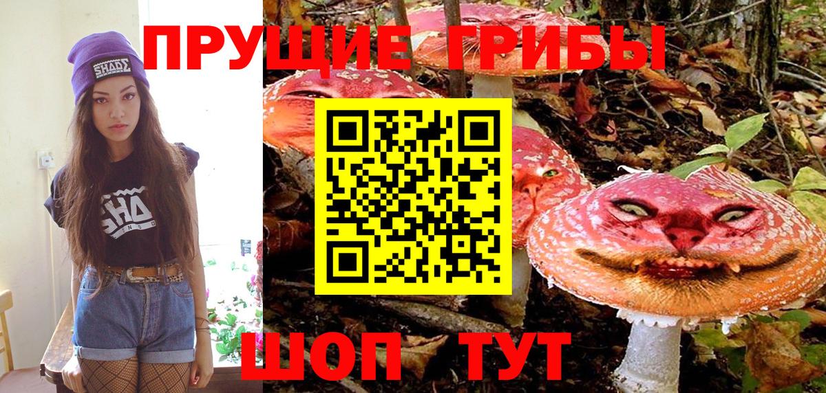 Галлюциногенные грибы мухоморы Мичуринск