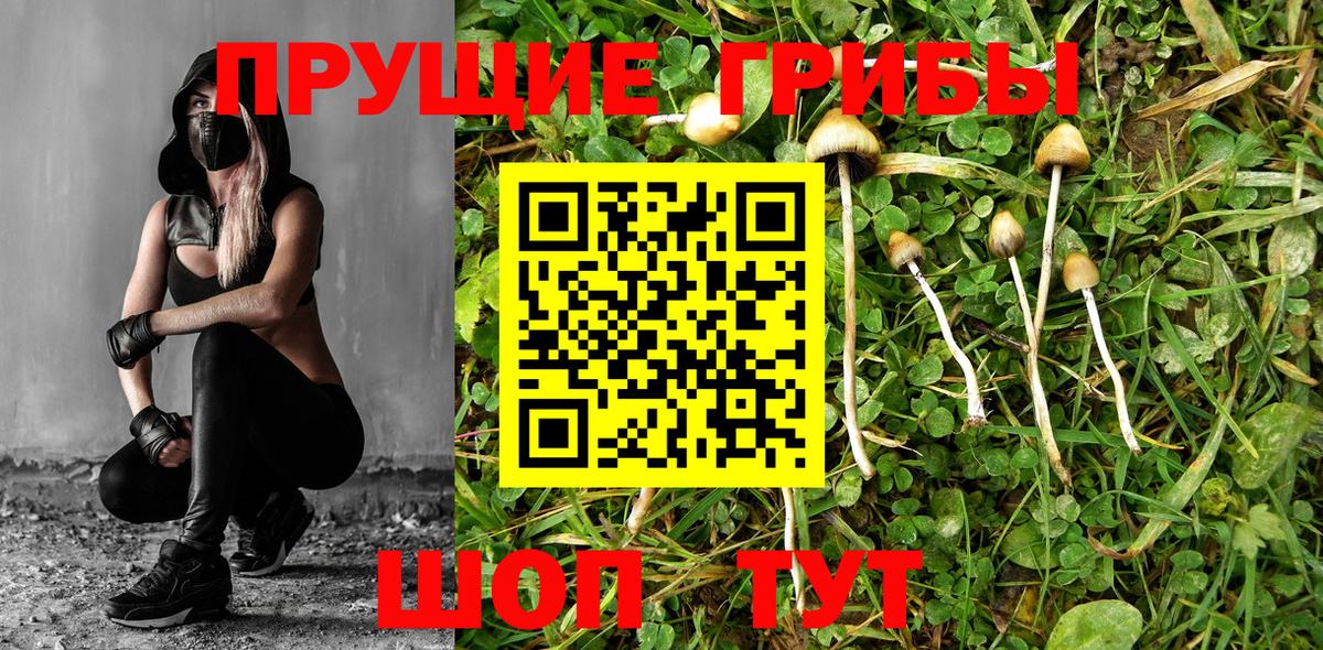 Мичуринск  Галлюциногенные грибы мухоморы  где продают   Вход с VPN 
